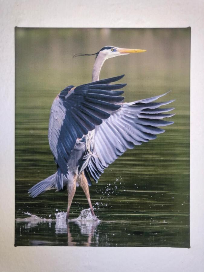 Appartamento Zia Ninin - La Gioia Di Un Tempo! Павия Экстерьер фото